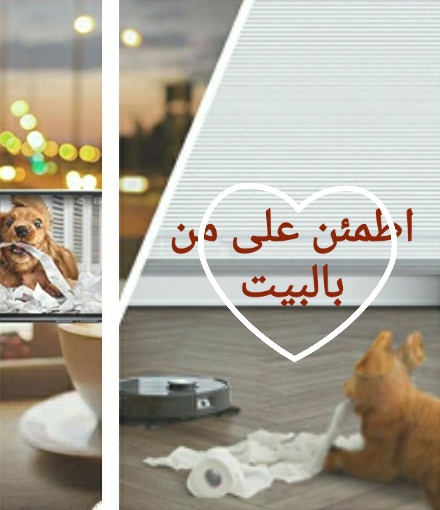 صورة للكلب بالمنزل يشاهده صاحبه من خلال المكنسة 